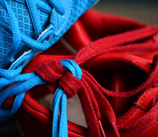 Atacadores / Cardaços